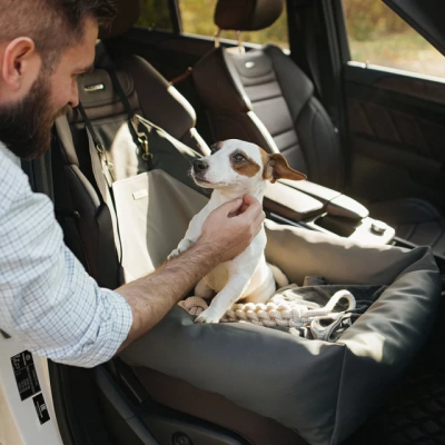 Secure & Stylish Dog Car Seats by Owley’s